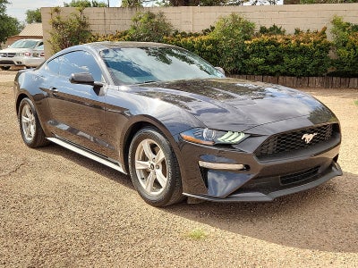 2022 Ford Mustang EcoBoost