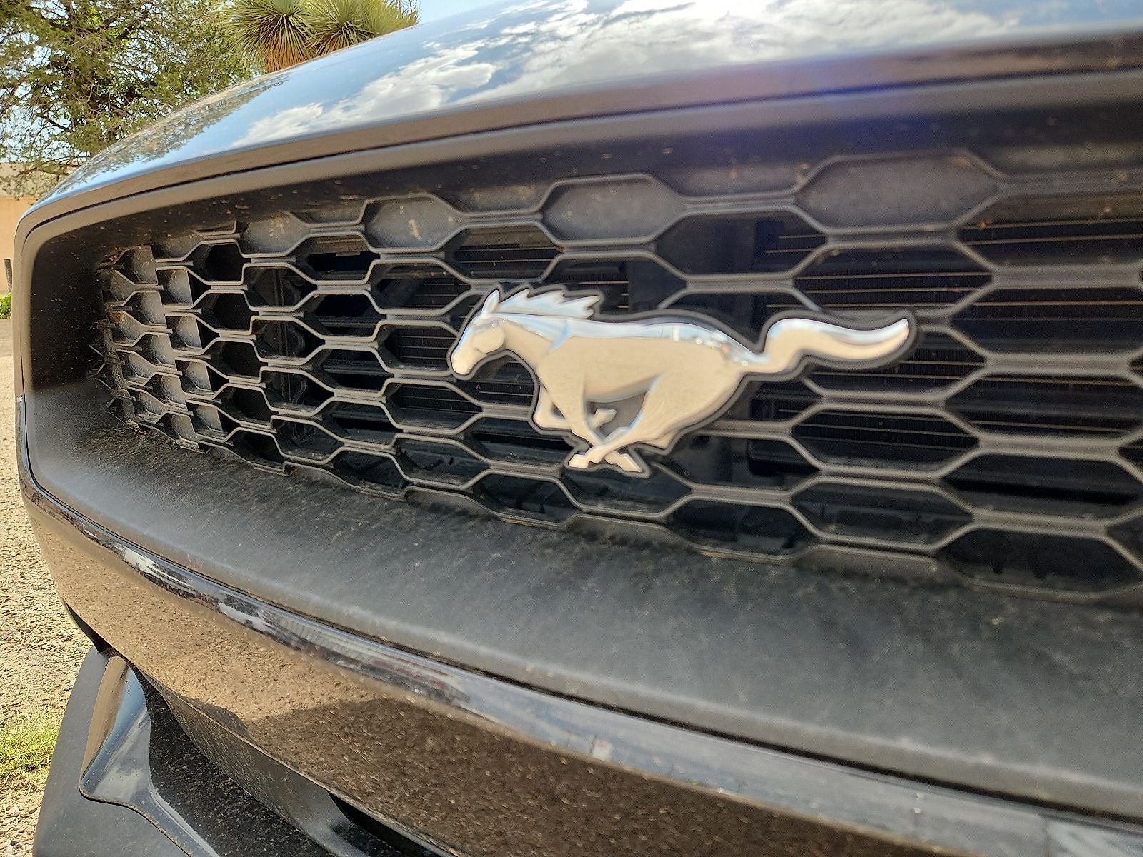 2022 Ford Mustang EcoBoost