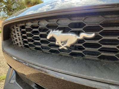 2022 Ford Mustang EcoBoost