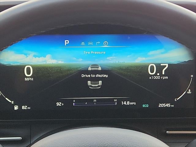 2024 Kia Carnival SX